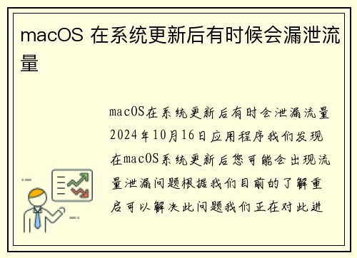 macOS 在系统更新后有时候会漏泄流量 